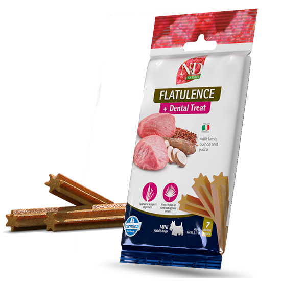 dental treat Flatulence mini