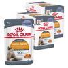 Royal Canin Hair & Skin 24x85g Mokra Karma Dla Kotów Dorosłych w Galaretce Zdrowa Skóra Piękna Sierść