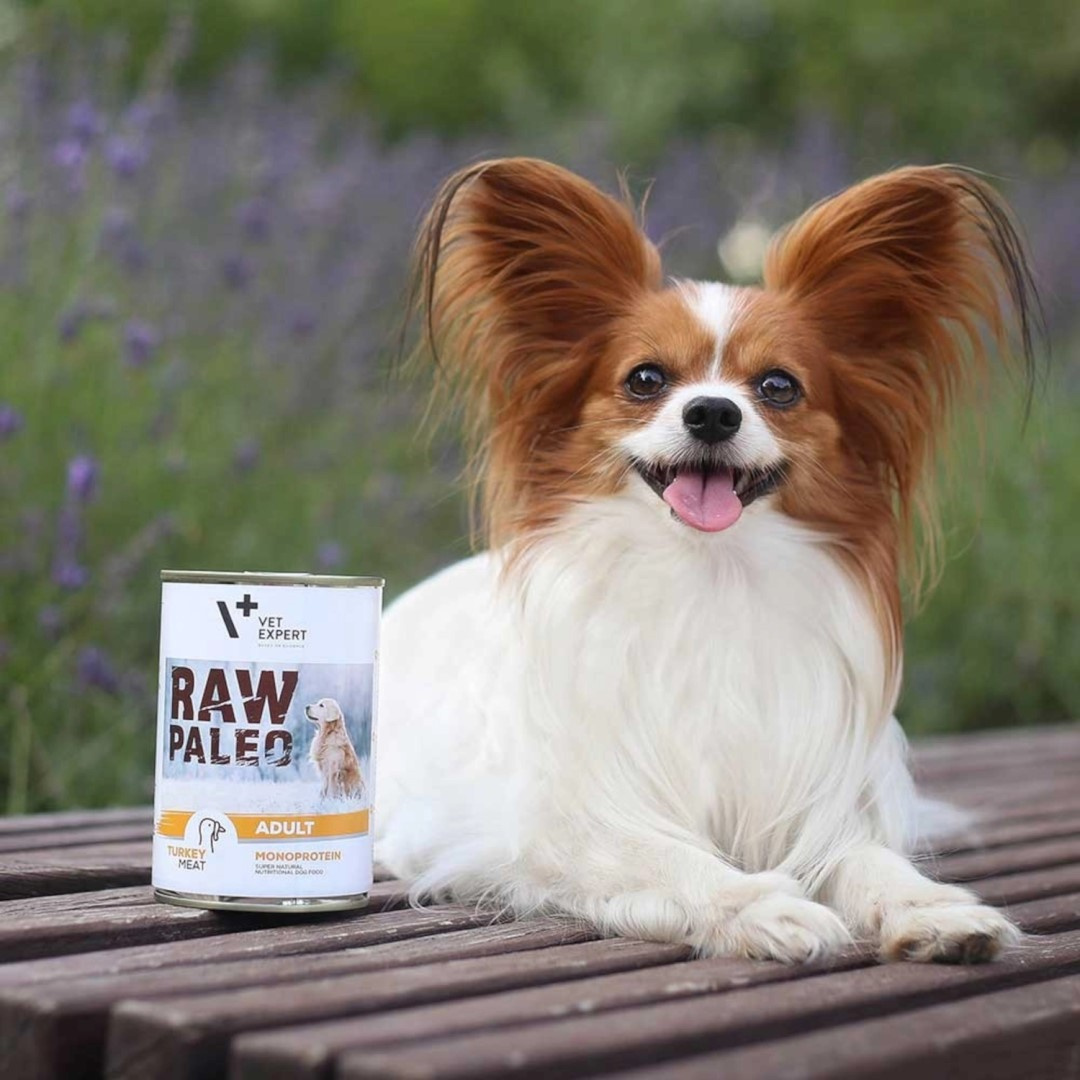 Vet Expert Raw Paleo Adult Monoprotein Mokra Karma Dla Psa