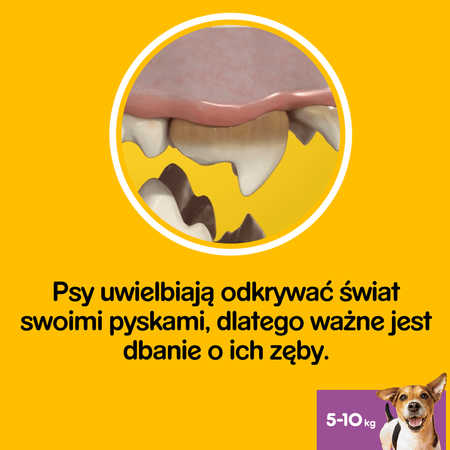 Pedigree DentaStix 10*110g - 70szt Przysmaki Dentystyczne Dla Psa