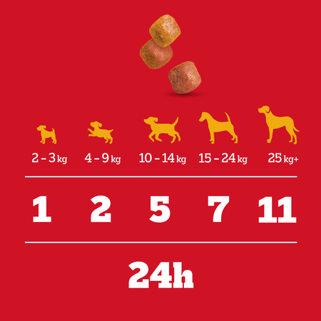 Pedigree Tasty Minis Chewy Cubes Z Kurczakiem 6x130g Przysmak dla psa