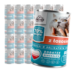 Frendi Mokra Karma Dla Kota 24x400g Kawałki w Sosie z Łososiem