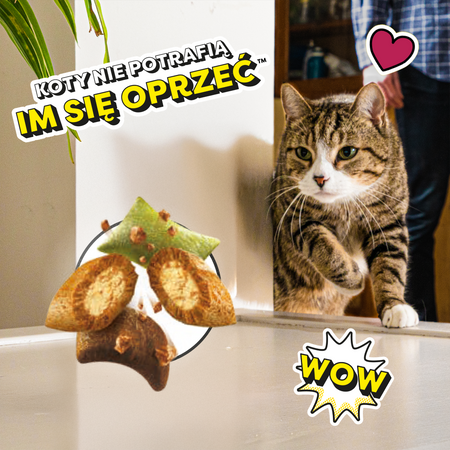 Dreamies Shake Ups Multivitamins 4x55g Przysmak Dla Kota Mix Smaków Kurczak Owoce Morza