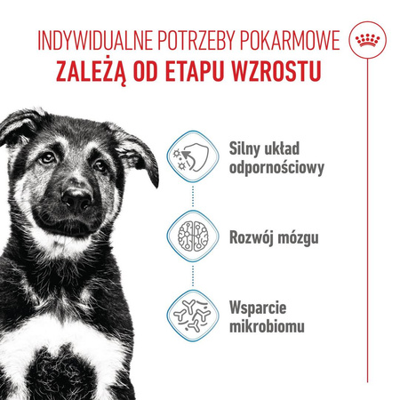 Royal Canin Maxi Puppy 4kg Karma Sucha Dla Szczeniąt Od 2 Do 15 Miesiąca Życia Ras Dużych