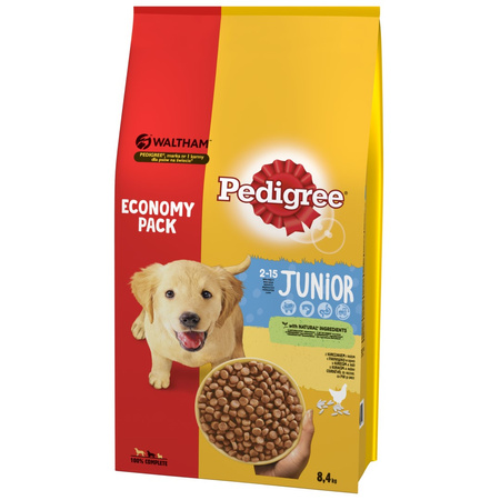 PEDIGREE Junior Kurczak z Ryżem 8,4kg Sucha Karma Dla Psów Średnich Ras