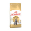 Royal Canin British Shorthair 10kg+12x85g Karma Dla Dorosłego Kota
