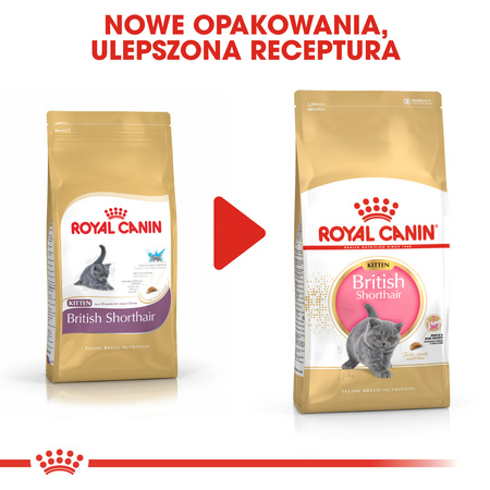 Royal Canin FBN British Shorthair Kitten 400g Karma Sucha Dla Kociąt Do 12 Miesiąca Rasy Brytyjski Krótkowłosy