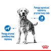 Royal Canin Maxi Light Weight Care 3kg Karma Sucha Dla Psów Dużych Ras Z Tendencją Do Nadwagi