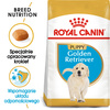 Royal Canin BHN Golden Retriever Puppy 12kg Karma Sucha Dla Szczeniąt Do 15 Miesiąca Rasy Golden Retriever