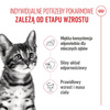 Royal Canin Kitten Sterilised Karma Mokra W Sosie Dla Kociąt Do 12 Miesiąca Życia 85g