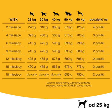 PEDIGREE Vital Protection 15kg Junior Duże Rasy Bogaty w Kurczaka, z Ryżem Karma Sucha dla szczeniąt