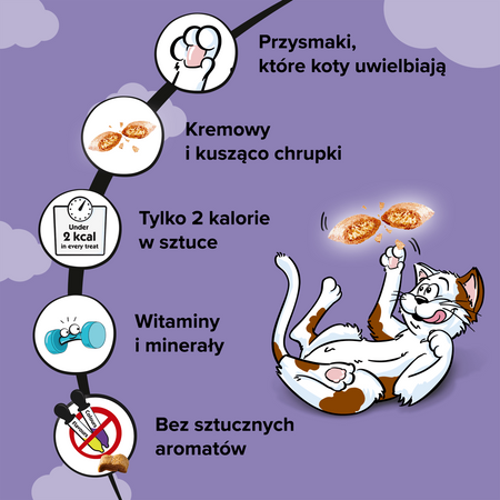 Dreamies z Wyśmienitą Kaczką 6x60g (360g) Przysmaki dla kota