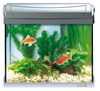 Tetra AquaArt Discover Line Aquarium Complete Set 20L 20 L, anthracite-Zestaw akwariowy srebrny