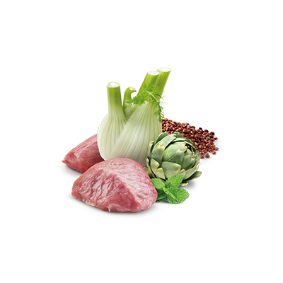 Farmina N&D Cat Quinoa Digestion 6x80g Mokra Karma Dla Kota Z Jagnięciną Na Trawienie