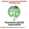 Royal Canin CCN Medium Digestive Care 3kg Karma Sucha Dla Psów Ras Średnich O Wrażliwym Przewodzie Pokarmowym