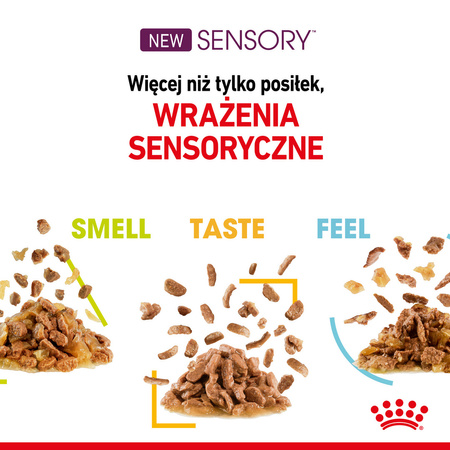 ROYAL CANIN Sensory Smell Gravy 85g Mokra Karma Dla Kotów Wybrednych