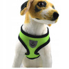 Lekkie Oddychające Szelki + Smycz Dla Psa Psów L klatka 37-49 cm ŻÓŁTO-ZIELONY