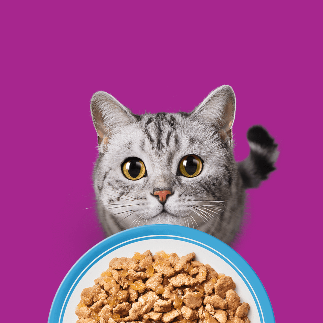 Whiskas Adult Rybne Przysmaki W Galaretce