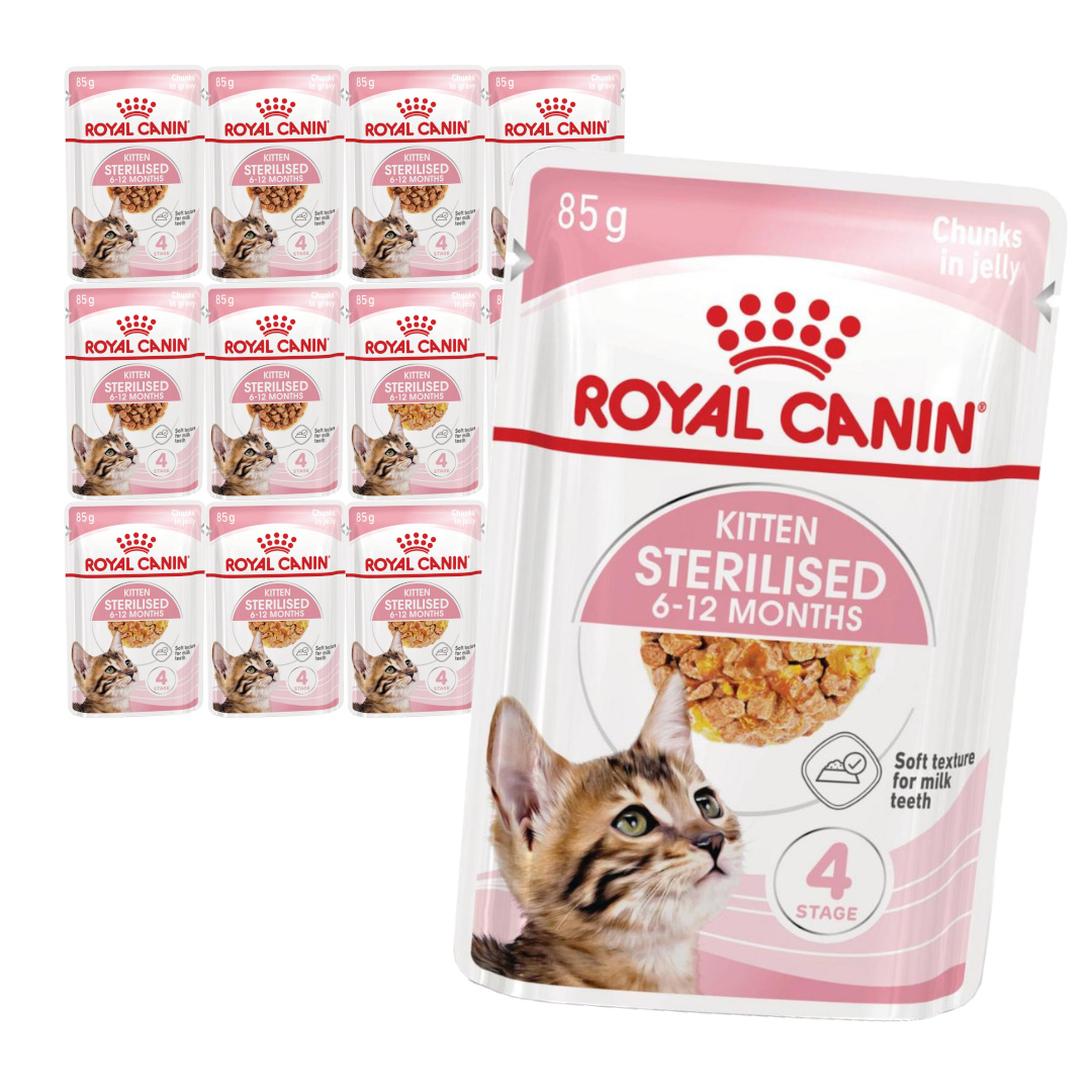Royal Canin Kitten Sterilised W Galaretce i Sosie Karma Mokra Dla Kociąt