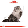 Royal Canin FBN Persian Adult 24x85g Karma Mokra Pasztet Dla Kotów Dorosłych Rasy Pers