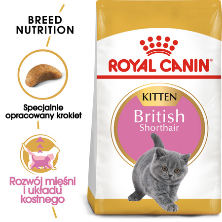 Royal Canin FBN British Shorthair Kitten 2kg Karma Sucha Dla Kociąt Do 12 Miesiąca Rasy Brytyjski Krótkowłosy