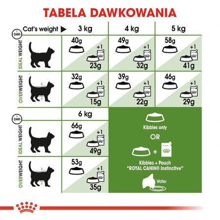 Royal Canin Outdoor 4kg Sucha Karma Dla Kotów Dorosłych Wychodzących Na Zewnątrz
