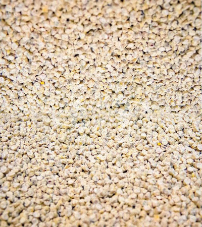 Super Benek Corn Cat Świeża Trawa 7L Żwirek Kukurydziany 100% Biodegradowalny