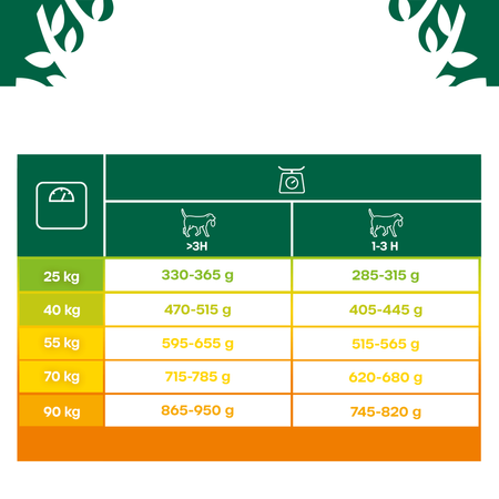 James Wellbeloved Adult 10kg Sucha Karma Dla Dorosłych Psów Dużych Ras Bogata W Indyka I Ryż