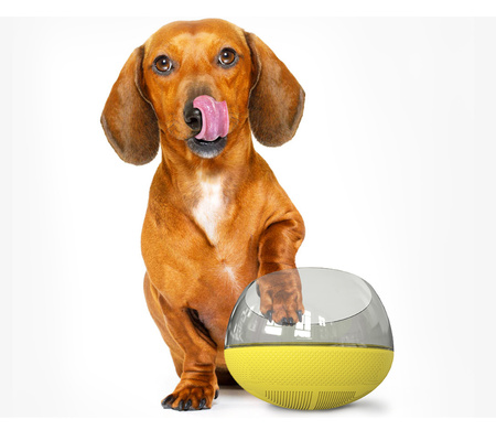 Spowalniająca Jedzenie Miska Dla Psa Na Karmę Niewywrotna Żółta