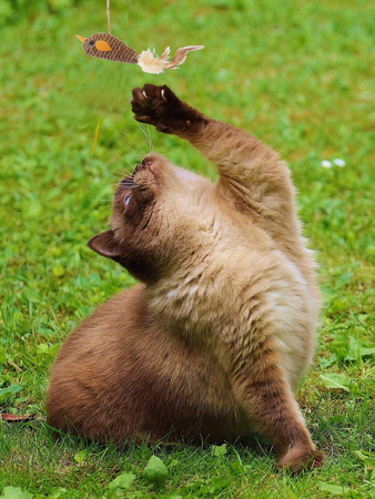 Zabawka Interaktywna Wędka Dla Kota Mysz Duża Brązowa 40cm