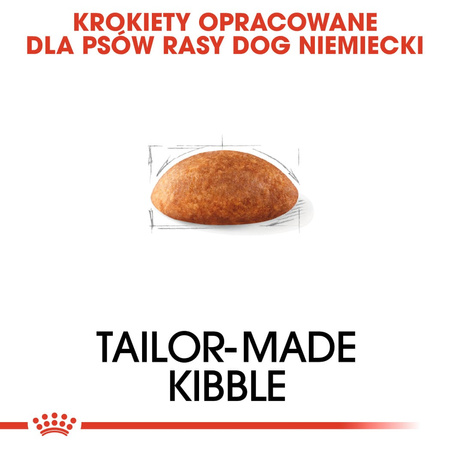 ROYAL CANIN Adult Dog Niemiecki Sucha Karma Dla Psów Dorosłych 12kg