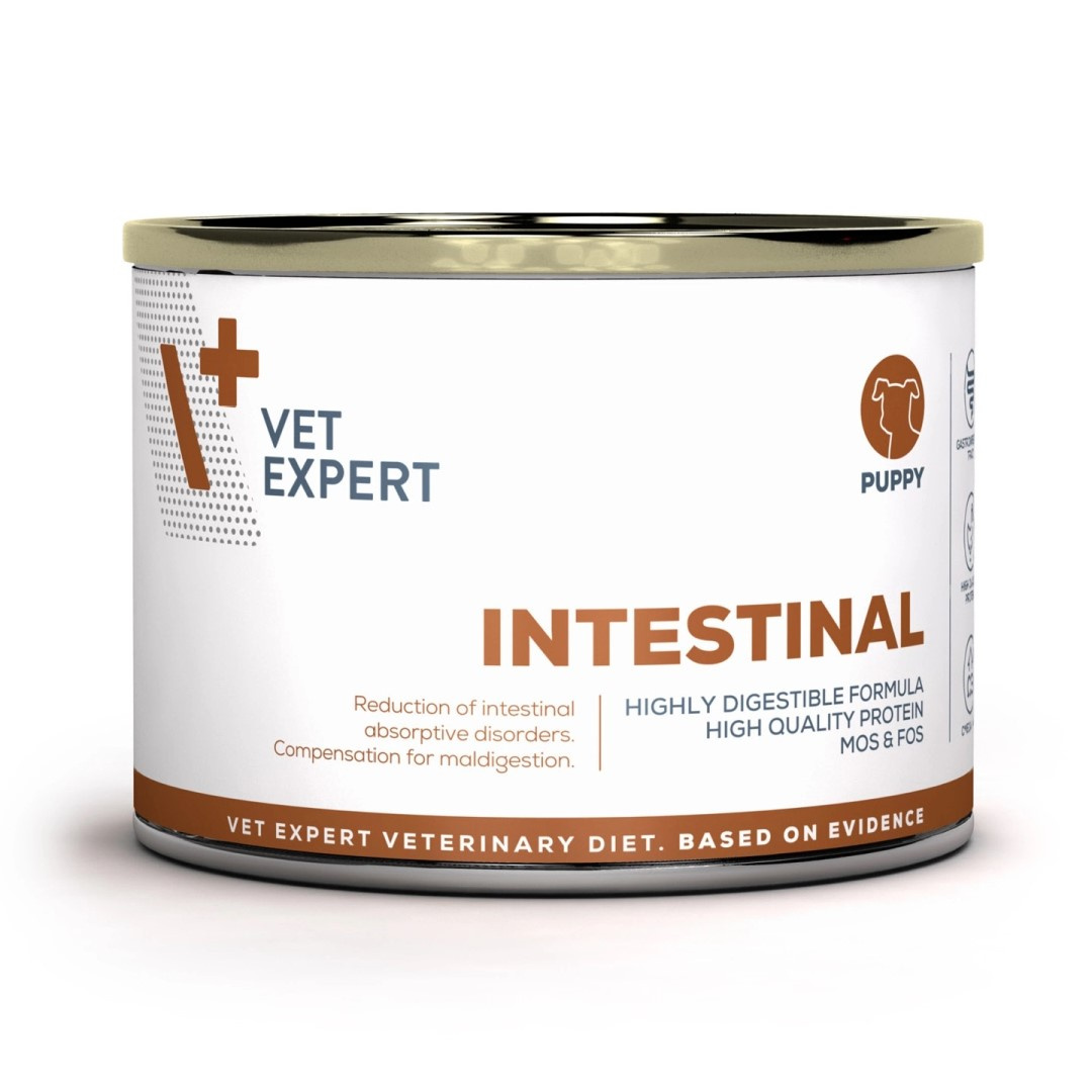 VetExpert Veterinary Diet Intestinal Puppy