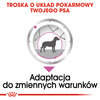 Royal Canin CCN Relax Care 85g Karma Mokra Pasztet Dla Psów Dorosłych Narażonych Na Działanie Stresu