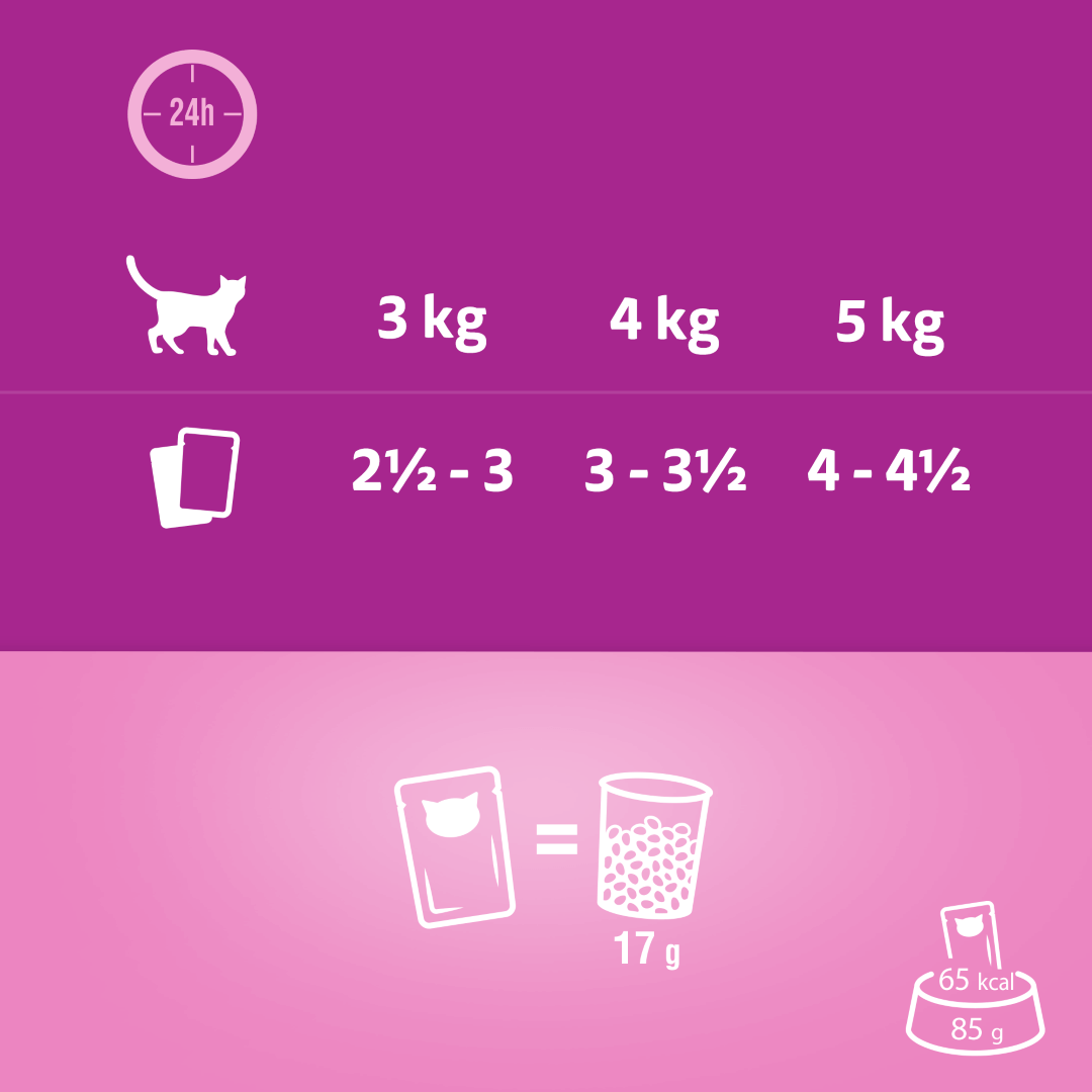 Whiskas Saszetki Aromatyczna Mieszanka