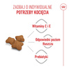 Royal Canin Kitten Sterilised 2kg Karma Sucha Dla Kociąt Sterylizowanych Od 4 Do 12 Miesiąca Życia