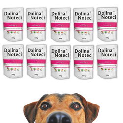 Dolina Noteci Premium z Indykiem Mokra Karma Dla Psa 10x500g