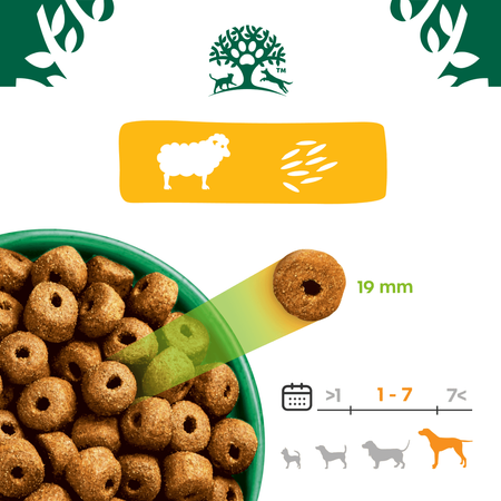 James Wellbeloved Adult 10kg Sucha Karma Dla Dorosłych Psów Dużych Ras Bogata W Jagnięcinę I Ryż