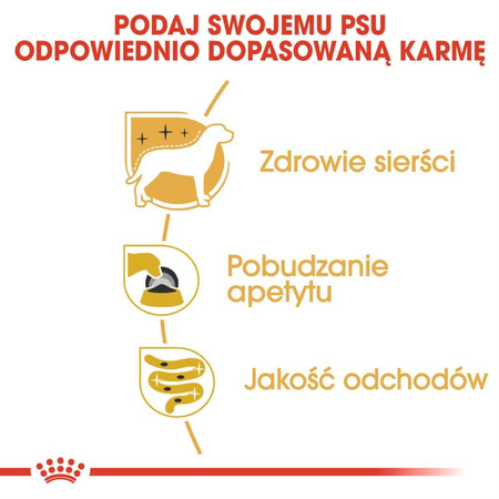 Royal Canin BHN Adult Yorkshire Terrier 24x85g Mokra Karma Pasztet Dla Psów Rasy York