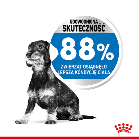Royal Canin Mini Light Weight Care 1kg Karma Sucha Dla Psów Małych Ras Z Tendencją Do Nadwagi