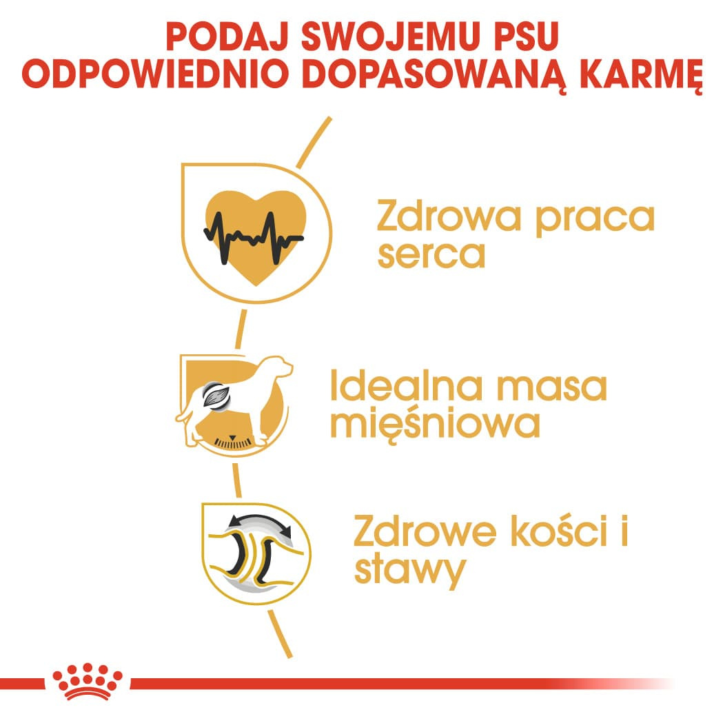 Karma Sucha Dla Psów Dorosłych Rasy Rottweiler