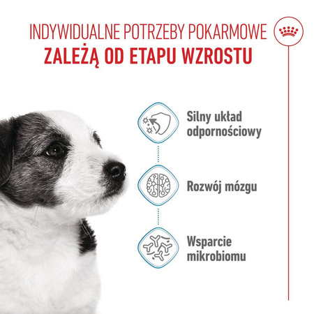 Royal Canin Mini Puppy 2kg Karma Sucha Dla Szczeniąt Od 2 Do 10 Miesiąca Życia, Ras Małych