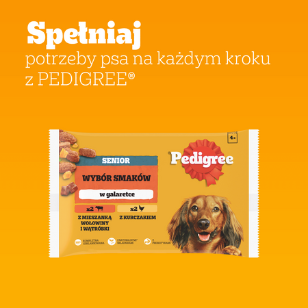 Pedigree Senior Wybór Smaków 4x100g Mokra Karma Dla Psów Z Wołowiną Wątróbką Kurczakiem W Galaretce