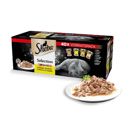 Whiskas Rybne Przysmaki W Galaretce + Sheba Selection Kolekcja Drobiowych Smaków W Sosie 160x85g Mokra Karma Dla Kota