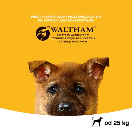 PEDIGREE Vital Protection 15kg Junior Duże Rasy Bogaty w Kurczaka, z Ryżem Karma Sucha dla szczeniąt