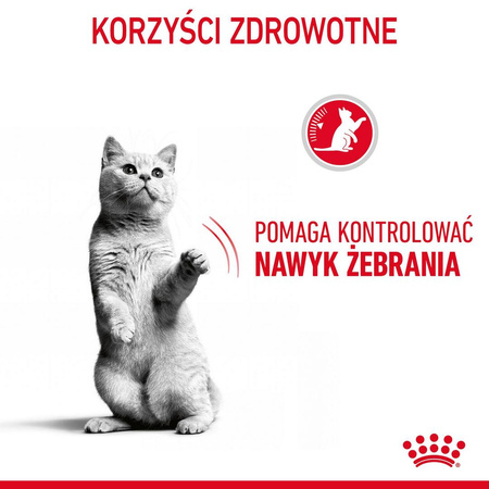 Royal Canin Appetite Control 400g Karma Sucha Dla Kotów Dorosłych Domagających Się Jedzenia