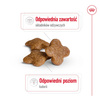 Royal Canin Mini Adult 8+ 8kg Karma Sucha Dla Psów Starszych Od 8 Do 12 Roku Życia Ras Małych