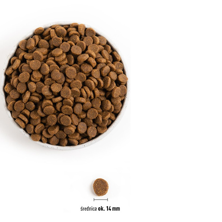 Acana Senior Recipe 11,4kg Sucha Karma Dla Starszych Psów z Kurczakiem i Morszczukiem