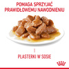 Royal Canin Digest Sensitive 12x85g Mokra Karma Dla Kotów Dorosłych W Sosie Na Wrażliwy Przewód Pokarmowy
