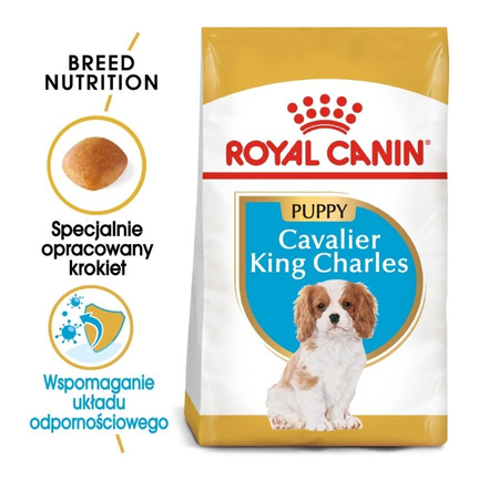 Royal Canin BHN Cavalier King Charles Spaniel Puppy 1,5kg Karma Sucha Dla Szczeniąt Do 10 Miesiąca Rasy Cavalier King Charles Spaniel