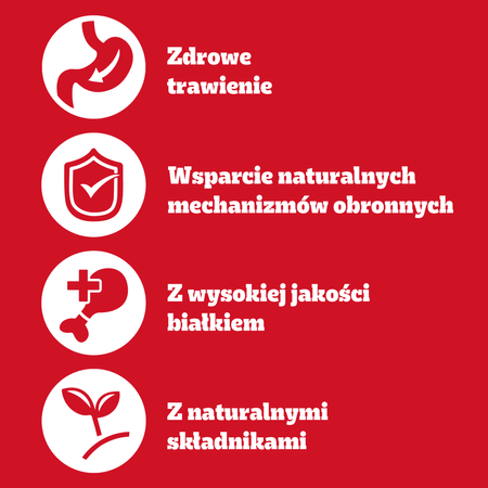 Pedigree Adult Puszka 12x400g - Mokra Karma Dla Psów Z Wołowiną i Wątróbką W Galaretce